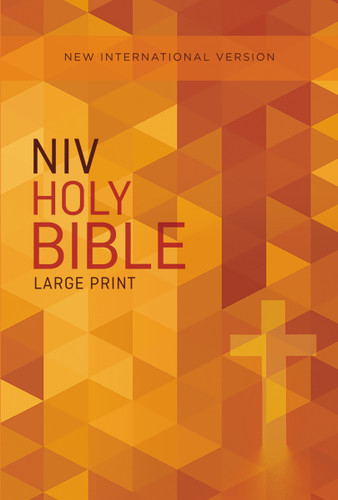 NIV, Outreach Bible, Large Print, Paperback book cover by Zondervan
