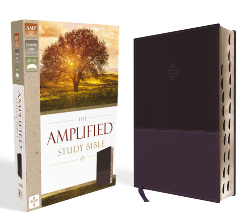 The Amplified Study Bible, Leathersoft, Purple, Thumb Indexed book cover by Zondervan