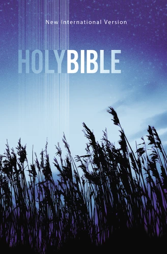 NIV, Value Outreach Bible, Paperback book cover by Zondervan