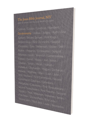 The Jesus Bible Journal, Deuteronomy, NIV, Paperback, Comfort Print book cover by Zondervan
