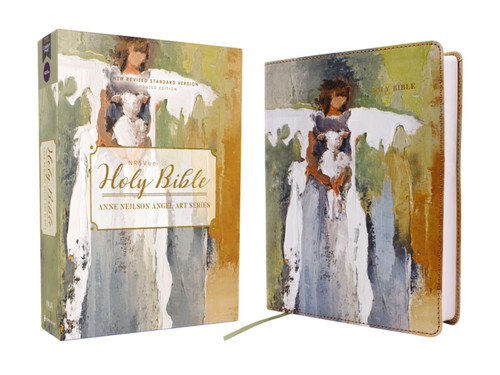 NRSVue, Holy Bible, Anne Neilson Angel Art Series, Double-Column Journal Edition, Leathersoft, Multi-Color, Comfort Print book cover by Zondervan