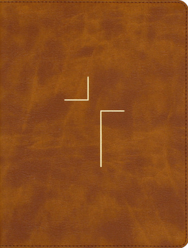 The Jesus Bible, NIV Edition, Leathersoft, Tan, Comfort Print book cover by Zondervan