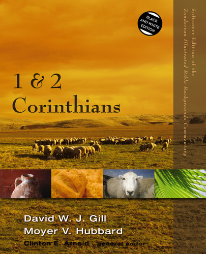 1 and 2 Corinthians (Zondervan Illustrated Bible Backgrounds Commentary) book cover by David W. J. Gill, Moyer V. Hubbard
