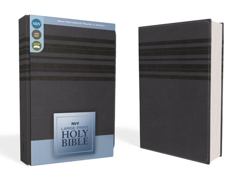 NIrV, Holy Bible, Large Print, Leathersoft, Blue book cover by Zondervan