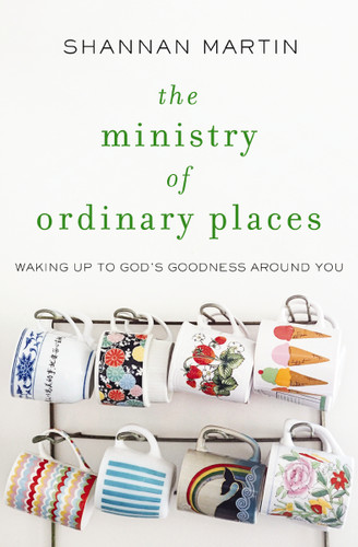 The Ministry of Ordinary Places: Waking Up to God's Goodness Around You book cover by Shannan Martin