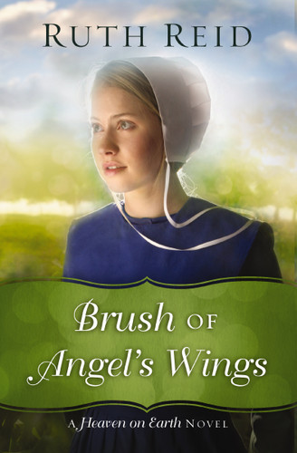 Brush of Angel's Wings book cover by Ruth Reid