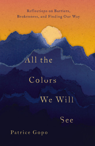 All the Colors We Will See: Reflections on Barriers, Brokenness, and Finding Our Way book cover by Patrice Gopo