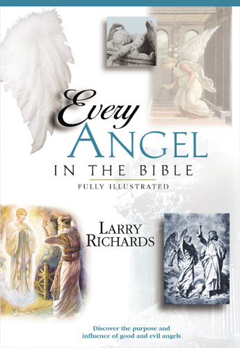 Every Good and Fallen Angel in the Bible (Everything in the Bible) book cover by Angie Peters, Lawrence O. Richards