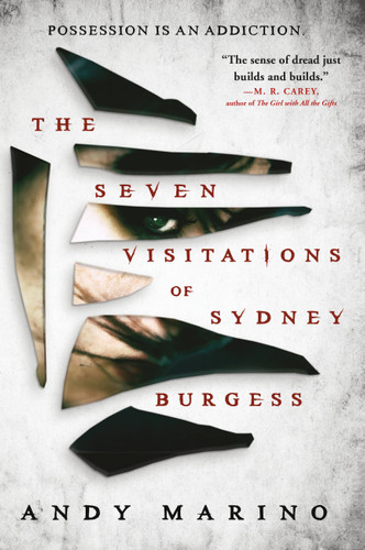 The Seven Visitations of Sydney Burgess book cover by Andy Marino