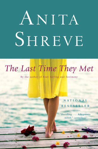 The Last Time They Met: A Novel book cover by Anita Shreve