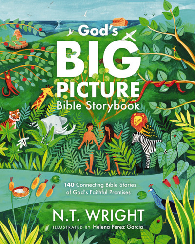 God's Big Picture Bible Storybook: 140 Connecting Bible Stories of God's Faithful Promises (God’s Big Picture Bible Stories) book cover by N. T. Wright