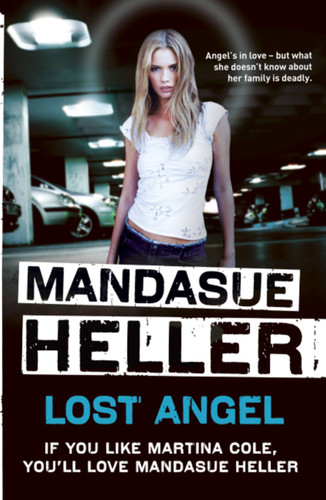 Lost Angel book cover by Mandasue Heller