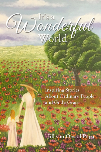 It's A Wonderful World: Inspiring Stories About Ordinary People and God's Grace book cover by Jill  Van Opstal-Popa