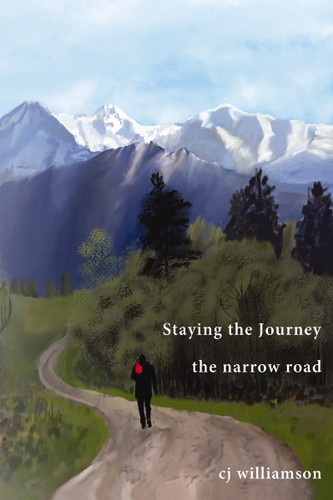 Staying the Journey: The Narrow Road book cover by CJ Williamson