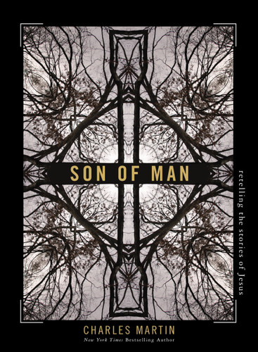 Son of Man: Retelling the Stories of Jesus book cover by Charles Martin