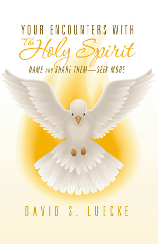 Your Encounters with the Holy Spirit: Name and Share Them?Seek More book cover by David Luecke
