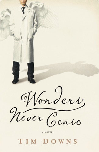 Wonders Never Cease book cover by Tim Downs