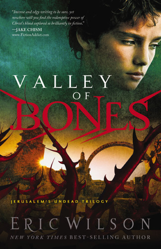 Valley of Bones book cover by Eric Wilson
