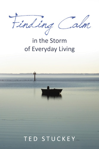 Finding Calm: In the Storm of Everyday Living book cover by Theodore M.  Stuckey