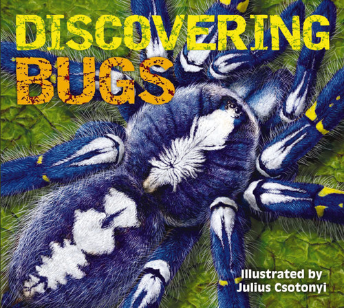 Discovering Bugs: Meet the Coolest Creepy Crawlies on the Planet (Discovering) book cover by Zondervan