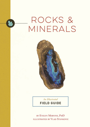 Rocks and   Minerals: An Illustrated Field Guide (Illustrated Field Guides) book cover by Evelyn Mervine