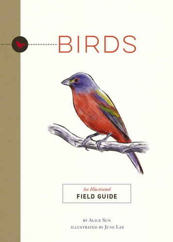 Birds: An Illustrated Field Guide (Illustrated Field Guides) book cover by Alice Sun