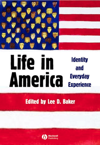 Life in America: Identity and Everyday Experience book cover by 
