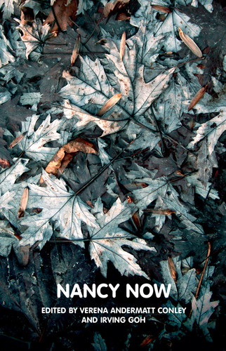 Nancy Now (Theory Now) book cover by 