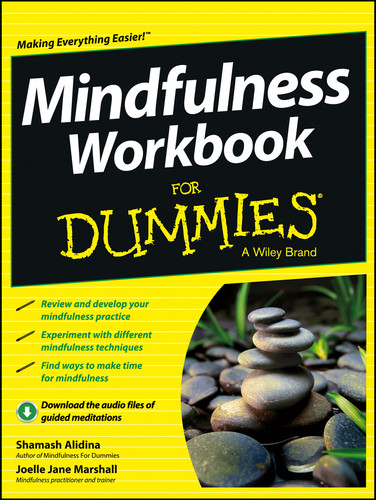Mindfulness Workbook For Dummies book cover by Shamash Alidina, Joelle Jane Marshall