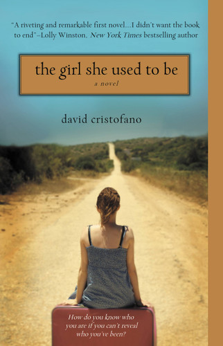 The Girl She Used to Be book cover by David Cristofano