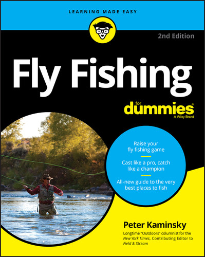 Fly Fishing For Dummies book cover by Peter Kaminsky