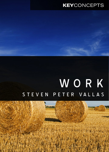 Work: A Critique (Key Concepts) book cover by Steven Vallas