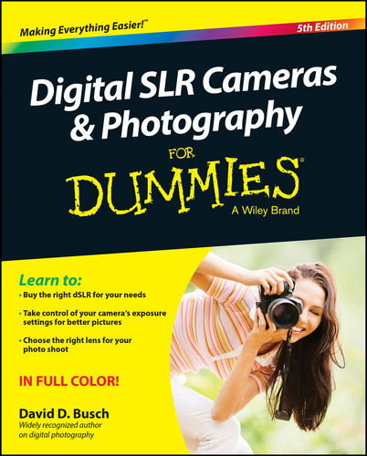 Digital SLR Cameras & Photography For Dummies book cover by David D. Busch