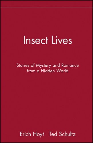 Insect Lives: Stories of Mystery and Romance from a Hidden World book cover by 