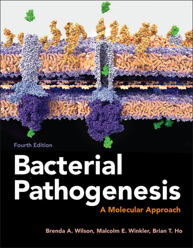 Bacterial Pathogenesis: A Molecular Approach (ASM Books) book cover by Brenda A. Wilson, Malcolm Winkler, Brian T. Ho