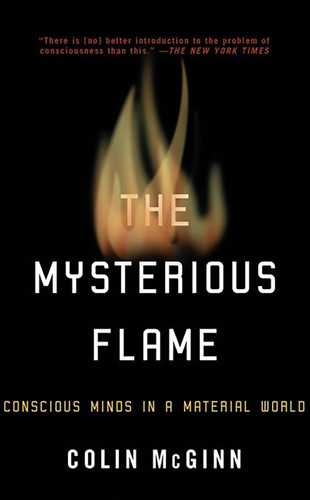 The Mysterious Flame: Conscious Minds in a Material World book cover by Colin Mcginn