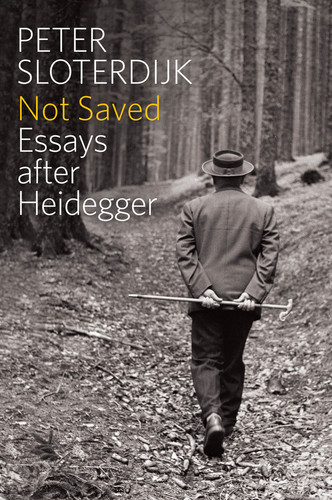 Not Saved: Essays After Heidegger book cover by Peter Sloterdijk