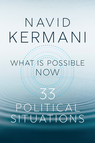 What is Possible Now: 33 Political Situations book cover by Navid Kermani