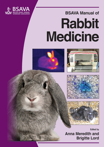BSAVA Manual of Rabbit Medicine (BSAVA British Small Animal Veterinary Association) book cover by 