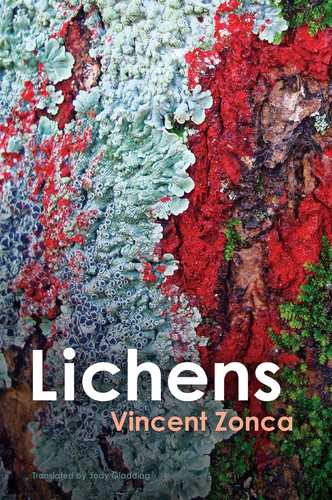 Lichens: Toward a Minimal Resistance book cover by Vincent Zonca