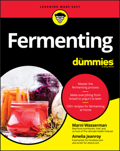 Fermenting For Dummies book cover by Marni Wasserman, Amelia Jeanroy