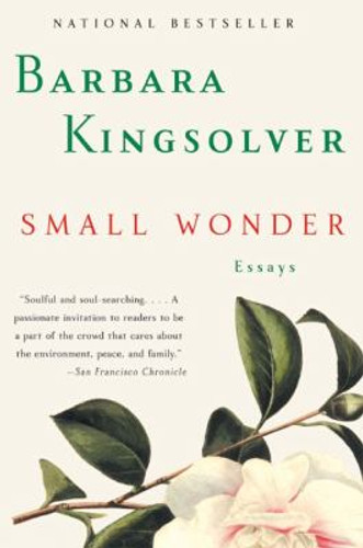 Small Wonder Cover