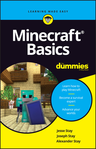 Minecraft Basics For Dummies book cover by Jesse Stay, Joseph Stay, Alex Stay