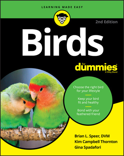 Birds For Dummies book cover by Brian L. Speer, Kim Campbell Thornton, Gina Spadafori