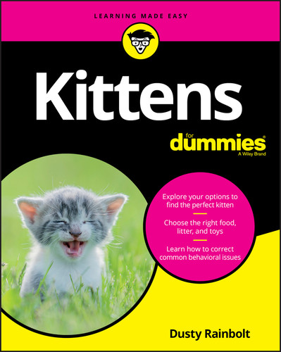 Kittens For Dummies book cover by Dusty Rainbolt