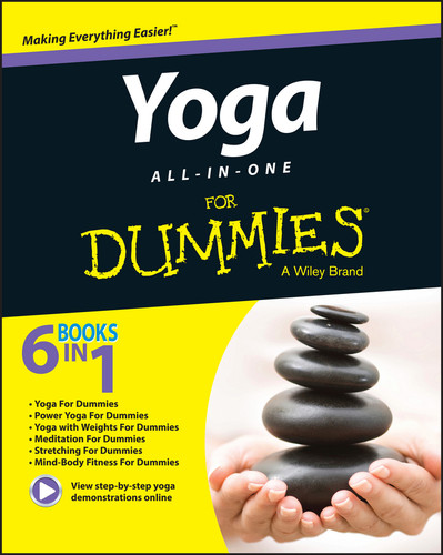 Yoga All-in-One For Dummies book cover by Larry Payne, Georg Feuerstein, Sherri Baptiste, Doug Swenson, Stephan Bodian, LaReine Chabut, Therese Iknoian