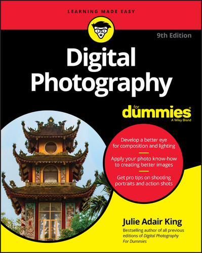 Digital Photography For Dummies book cover by Julie Adair King