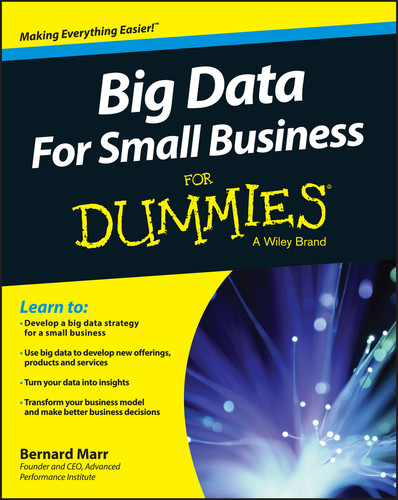 Big Data For Small Business For Dummies book cover by Bernard Marr