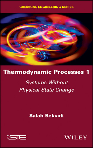 Thermodynamic Processes 1: Systems without Physical State Change book cover by Salah Belaadi