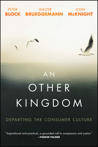 An Other Kingdom: Departing the Consumer Culture book cover by Peter Block, Walter Brueggemann, John Mcknight